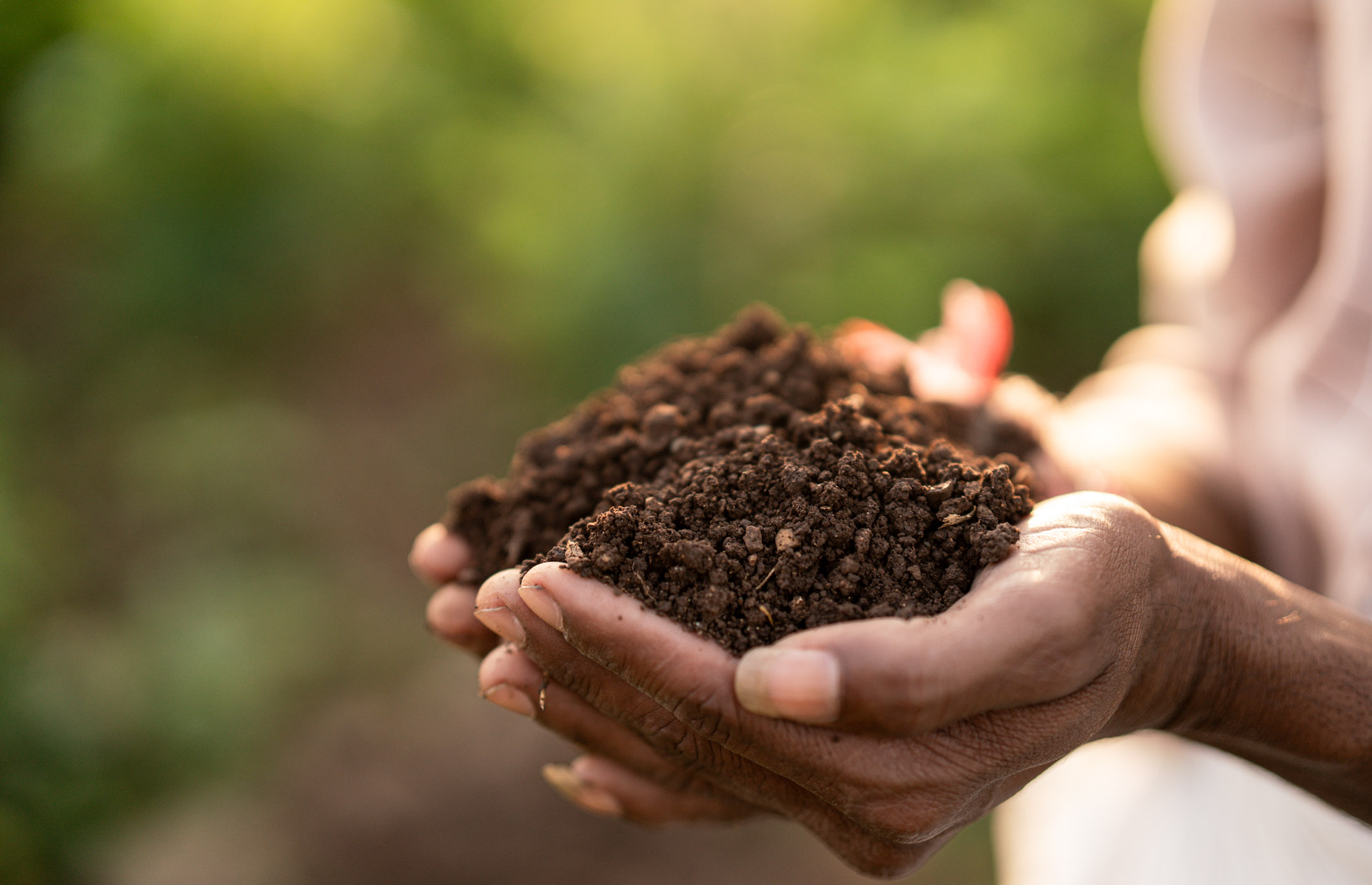 Sagi Bai – A Remarkable Hero