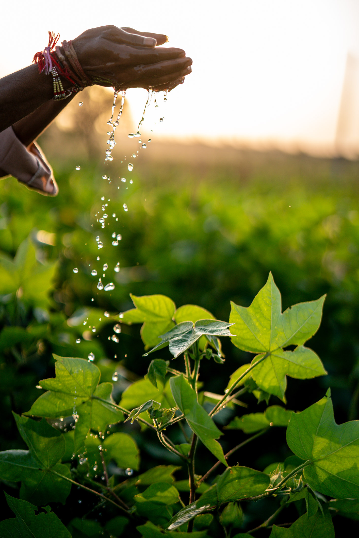 Women Entrepreneurship with Bosch