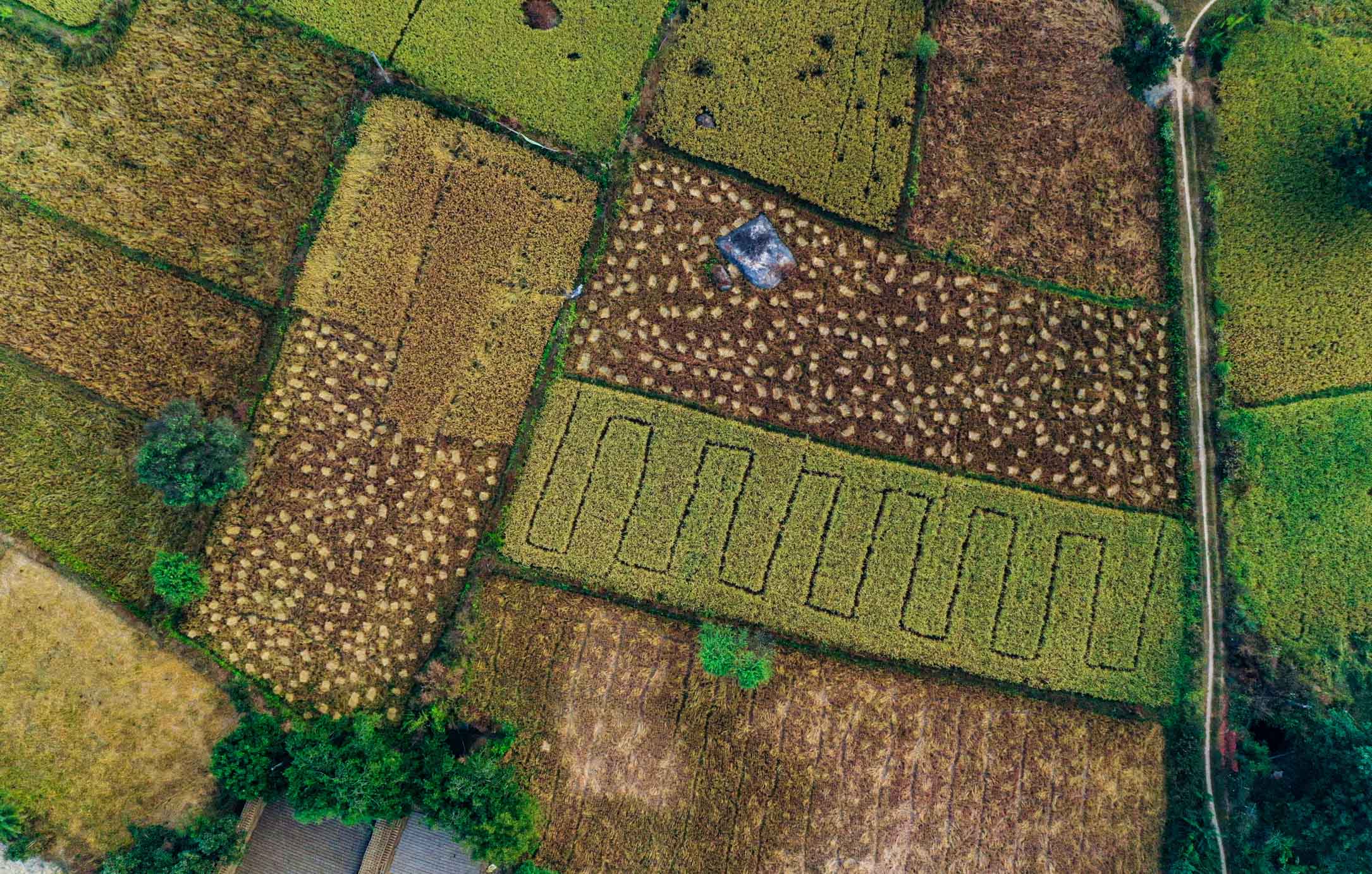 Environmental Protection